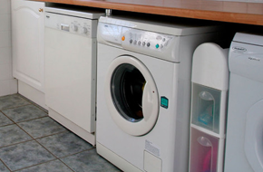 free standing washing machine and dishwasher in a kitchen 